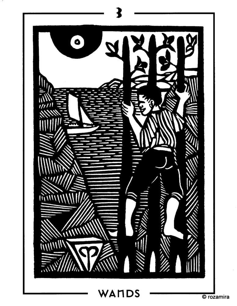 Light and Shadow Tarot (Contrast deck)